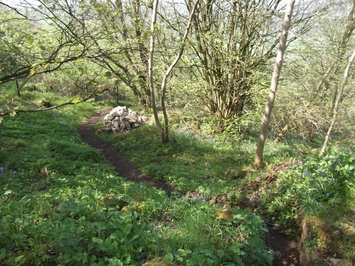 Hall Dale View Near Matlock & Peak District Екстер'єр фото